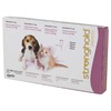 Stronghold 15mg Spot-On Solution for Puppies and Kittens