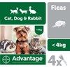 Advantage 40 Flea Treatment for Small Cats / Small Dogs / Rabbits 4 Pipettes