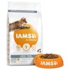 Iams for Vitality Indoor Adult Cat Food (Fresh Chicken)