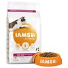 Iams for Vitality Senior Cat Food (Fresh Chicken)