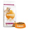 Iams for Vitality Large Breed Senior Dog Food (Fresh Chicken) 12kg
