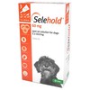 Selehold 60mg Spot-On Solution for Small Dogs (3 Pipettes)