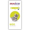 Bravecto 112.5mg Spot-On Solution for Small Cats (Single Pipette)