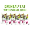 Drontal XL Winter Worming Bundle for Cats