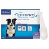 Effipro for Medium Dogs (4 Pipettes)