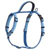 Halti Walking Adjustable Dog Harness (Blue)