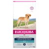 Eukanuba Breed Specific Labrador Retriever Adult Dry Dog Food 12kg