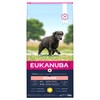 Eukanuba Caring Senior Large Breed Dog Food (Chicken) 12kg