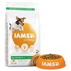 Iams for Vitality Small/Medium Breed Adult Dog Food (Fresh Chicken)