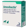 Amoxibactin 250mg Tablets for Dogs