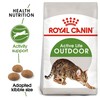 Royal Canin Active Life Outdoor Adult Dry Cat Food
