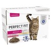 Perfect Fit Adult 1+ Wet Cat Food Pouches (Salmon & Carrots)