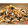 VetUK Insect and Mealworm Seed Mix 12.6kg