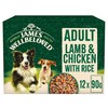 James Wellbeloved Adult Dog Wet Food Pouches (Lamb & Chicken)