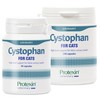 Protexin Cystophan Capsules for Cats
