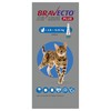 Bravecto Plus 250mg Spot-On Solution for Medium Cats