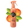 Pet Head Quick Fix Dry Clean Spray (Peach) 300ml