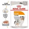 Royal Canin Coat Care Wet Dog Food Pouches