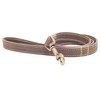 Ancol Timberwolf Leather Dog Lead 1m (Sable)