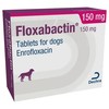 Floxabactin 150mg Tablets for Dogs