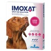 Imoxat 250/62.5mg Spot-On Solution for Large Dogs
