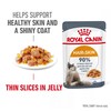 Royal Canin Hair & Skin Care Adult Wet Cat Food in Jelly