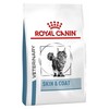 Royal Canin Skin & Coat Dry Food for Cats
