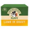 James Wellbeloved Puppy Wet Dog Food Pouches (Lamb & Rice)