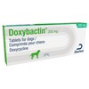 Doxybactin 200mg Tablets for Dogs