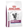 Royal Canin Renal Special Dry Food for Cats
