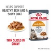 Royal Canin Hair & Skin Care Adult Wet Cat Food in Gravy