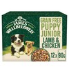 James Wellbeloved Grain Free Puppy Wet Dog Food Pouches (Lamb & Chicken)