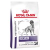Royal Canin Dental Dry Food for Medium/Large Dogs 6kg