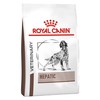 Royal Canin Hepatic Dry Food for Dogs