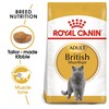 Royal Canin British Shorthair Adult Cat Food
