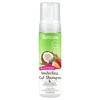 TropiClean Deep Cleansing Waterless Shampoo (Berry & Coconut) 220ml