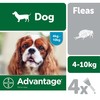 Advantage 100 Flea Treatment for Dogs 4 Pipettes