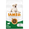 Iams for Vitality Large Breed Adult Dog Food (Lamb) 12kg