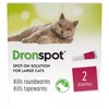 Dronspot Spot On Wormer for Large Cats