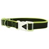 Go Walk LED Reflective Rainbow Dog Collar