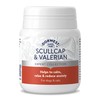 Dorwest Scullcap and Valerian Tablets for Dogs and Cats