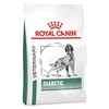 Royal Canin Diabetic Dry Food for Dogs