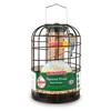 Walter Harrison's Squirrel Proof Protector Seed Feeder