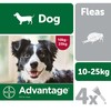 Advantage 250 Flea Treatment for Dogs 4 Pipettes