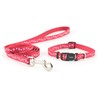 Ancol Puppy and Small Dog Collar and Lead Set Red Stars