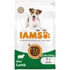 Iams for Vitality Small/Medium Breed Adult Dog Food (Lamb)