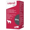 Galliprant 100mg Flavoured Tablets for Dogs