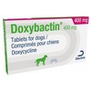 Doxybactin 400mg Tablets for Dogs