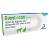 Doxybactin 50mg Tablets for Cats and Dogs