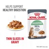 Royal Canin Digestive Care Adult Wet Cat Food in Gravy